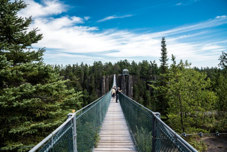 Sault Ste. Marie unveils list of approved employers for its rural immigration pathway to permanent residency